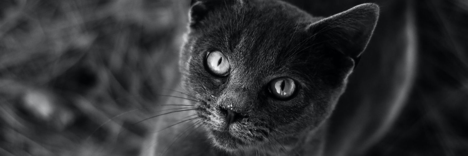 aghnii's profile banner image
