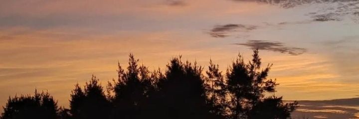 ąƖɛҳąŋɖཞɛ banner