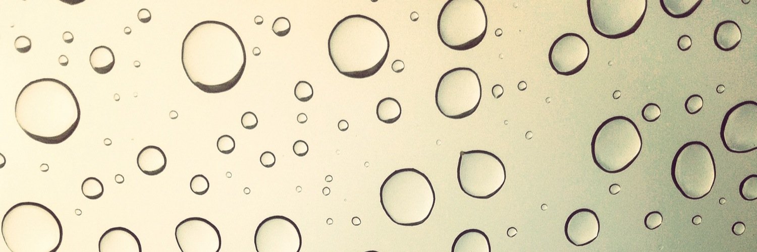 ShiparevaV's profile banner image