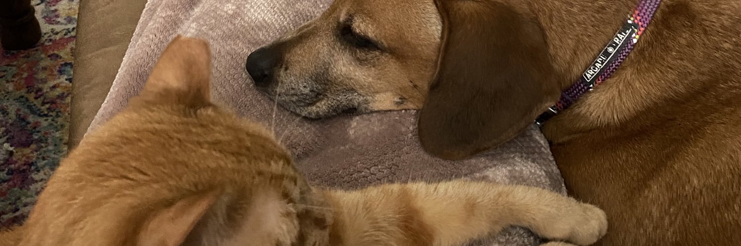 smithbrittneyy's profile banner image