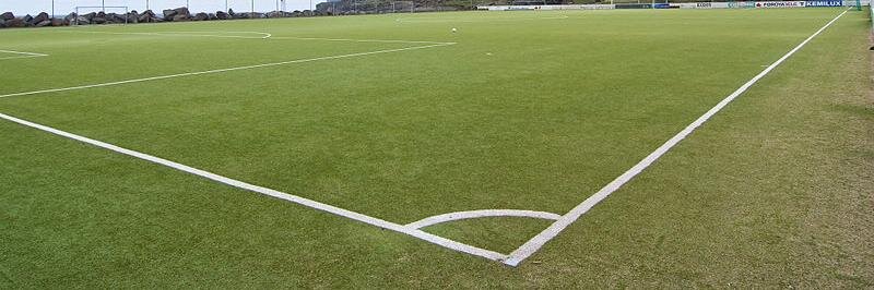 Fans Focus banner