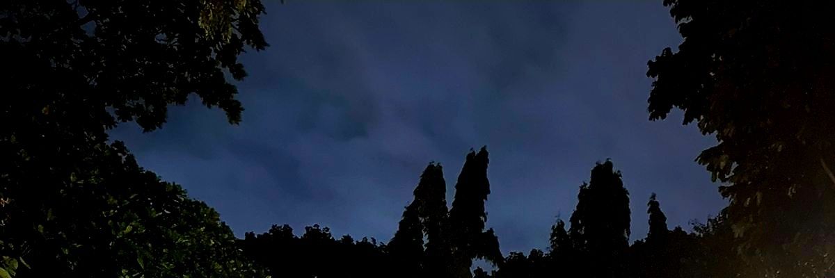 Ribiyun's profile banner image