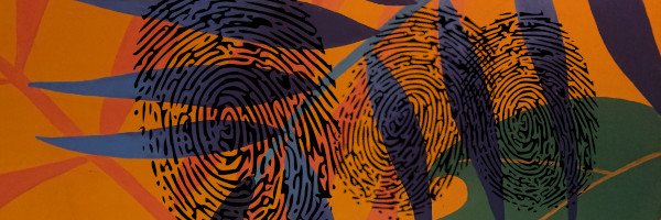tropicalsleuth's profile banner image