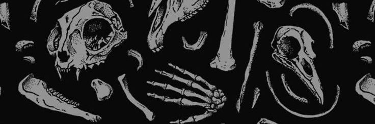 Higaredaa_'s profile banner image