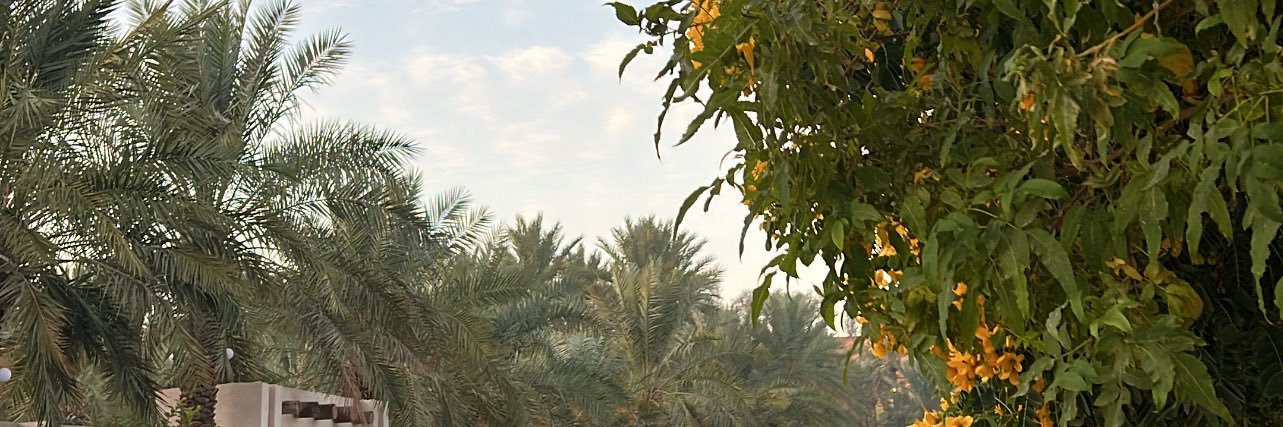 Alreem_mut's profile banner image