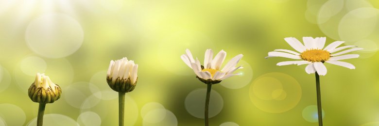 ola1982k's profile banner image