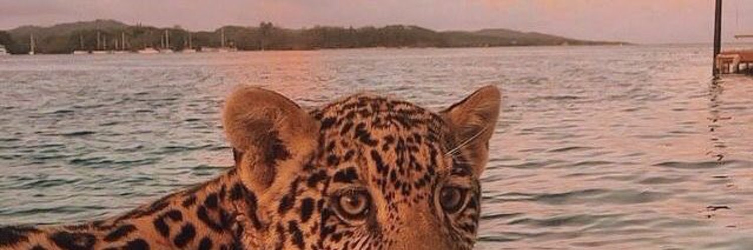 Imaaayn's profile banner image
