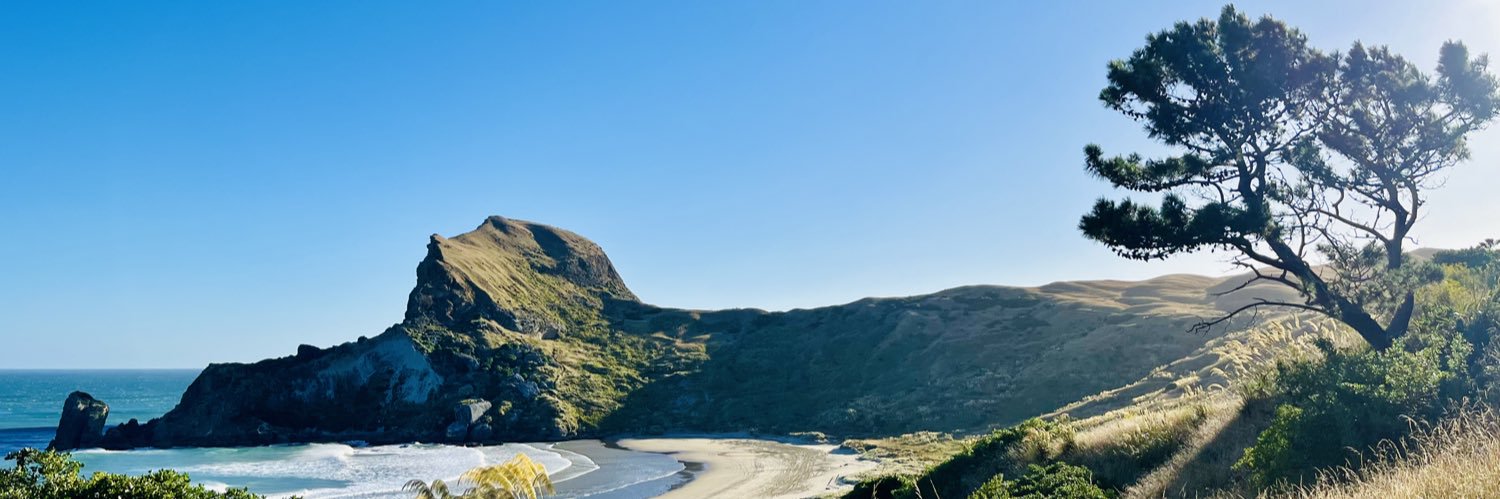 danfieldinz's profile banner image