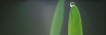 KVilhelm's profile banner image