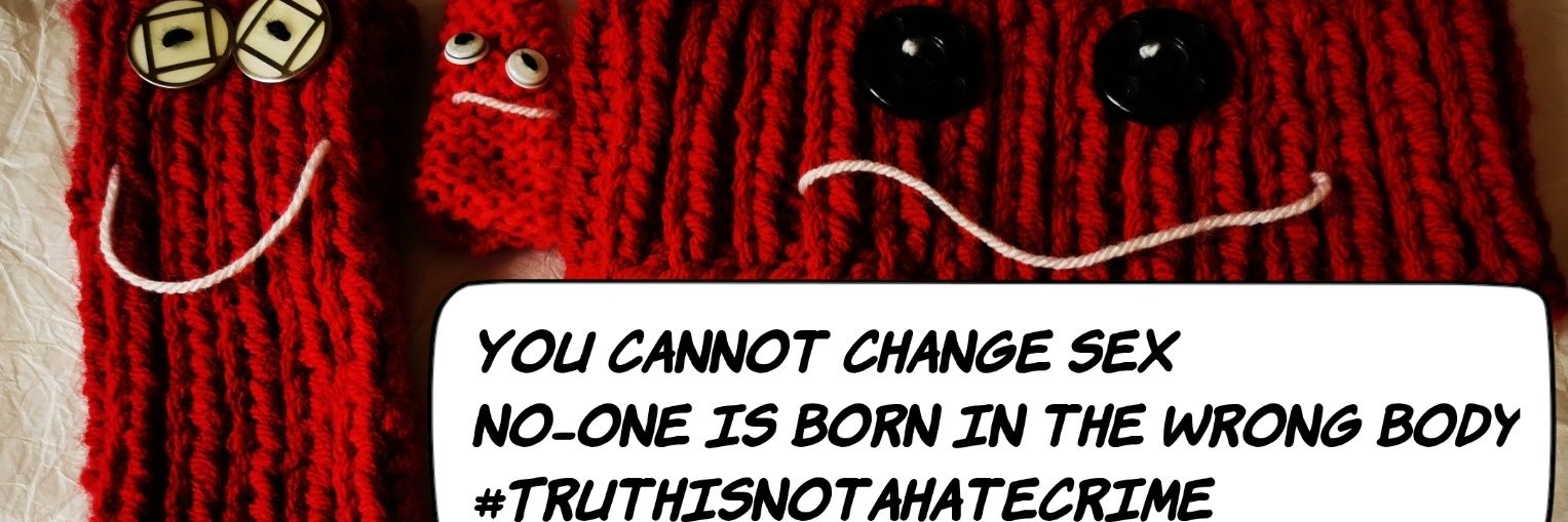 Don't mock women you mocking mocks banner