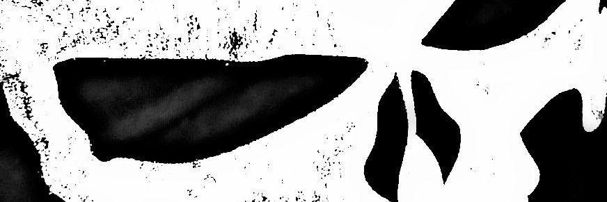 FRANK_W_KASTLE's profile banner image