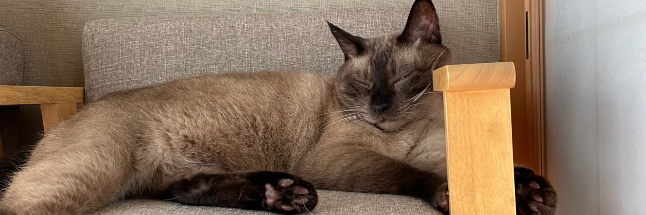 あっちゃん banner