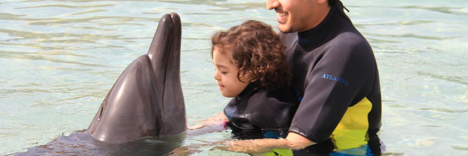 Mohammad Nafadi banner