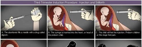 MomProlife's profile banner image