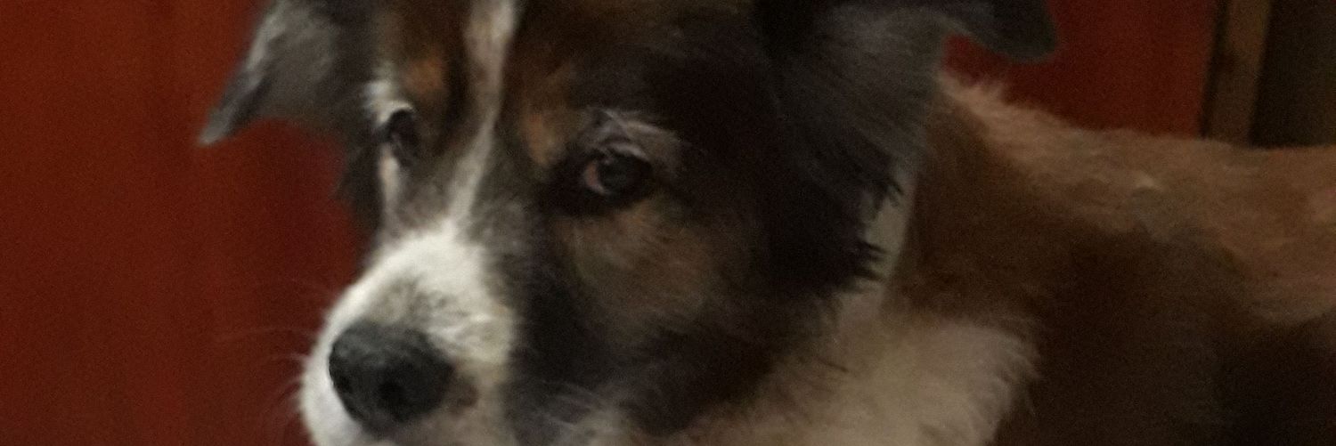 LeanAredes's profile banner image