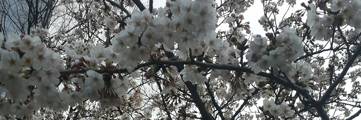 anyala23's profile banner image