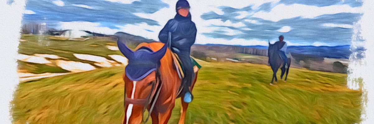 hidegoro_01's profile banner image