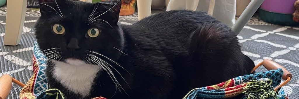 ScrubPC's profile banner image