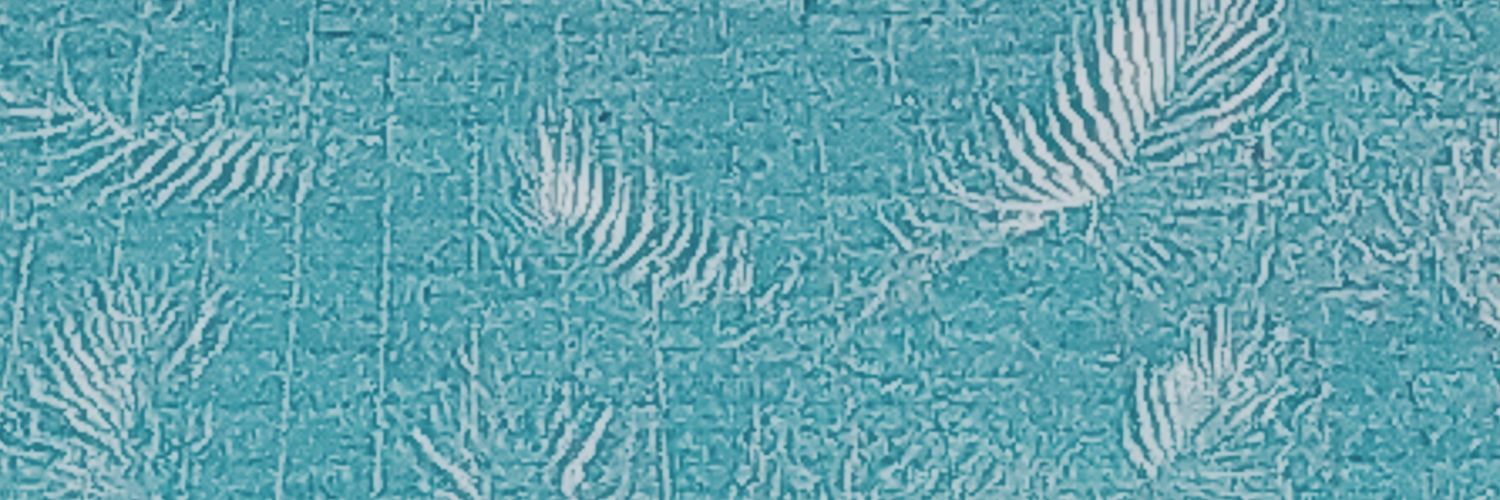 XimenaDo's profile banner image