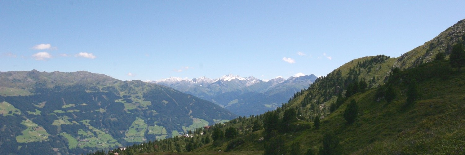 fibbsanton's profile banner image