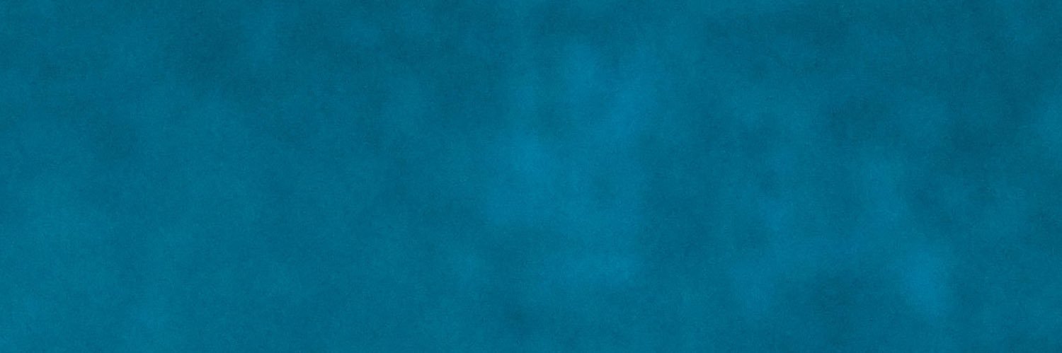 LauraConcei's profile banner image