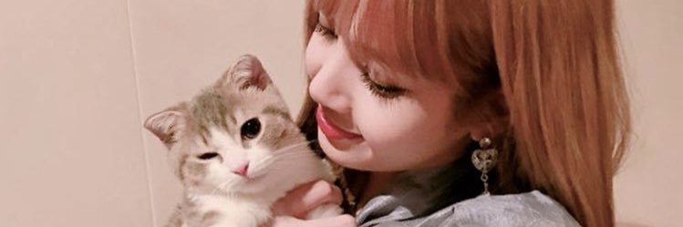 iamchiaki92's profile banner image