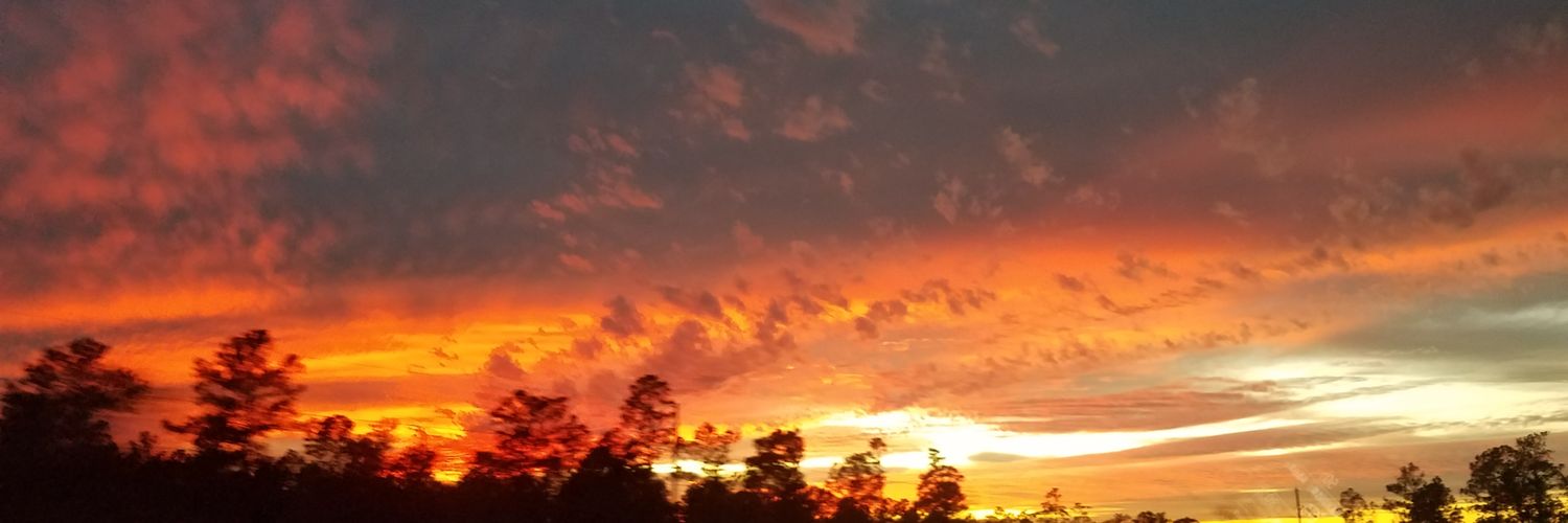 Jeremy Greene banner