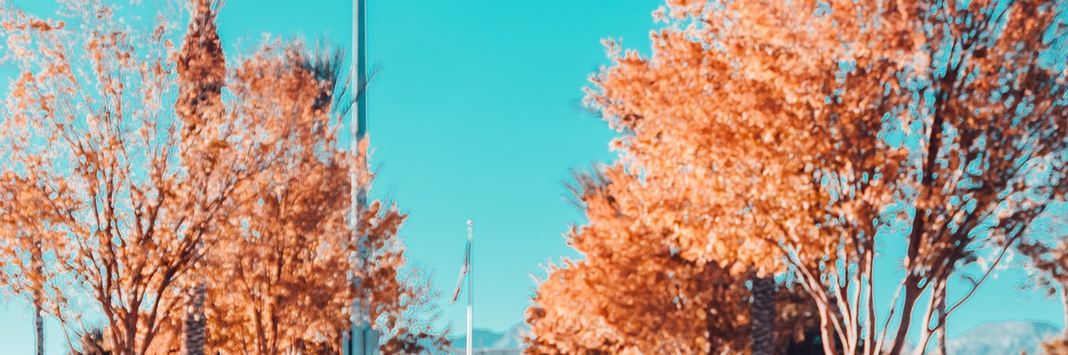michaelchanh's profile banner image