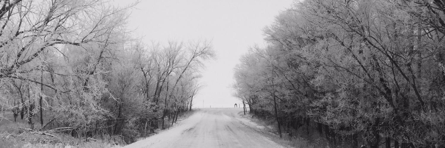 sorney81's profile banner image