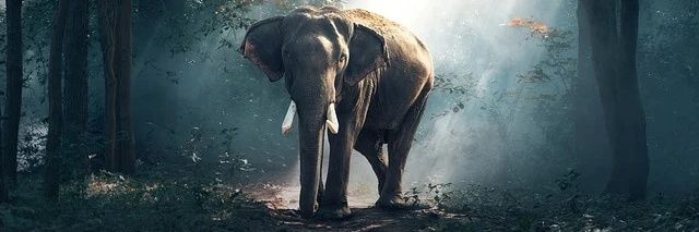 MrMashette's profile banner image