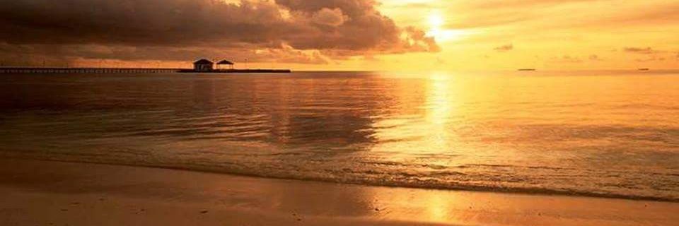 555_ne's profile banner image