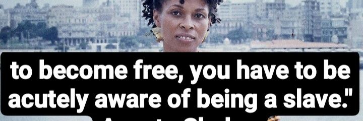 Rebel Woman✊🏾🇯🇲 banner