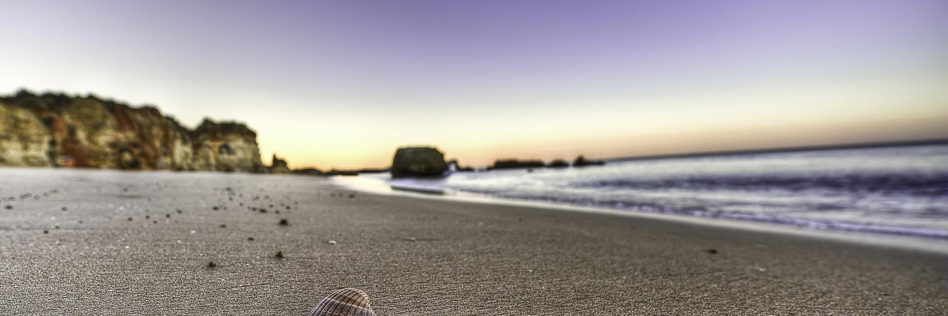 hexmetrology's profile banner image