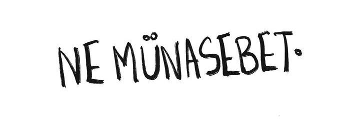 evremguler's profile banner image