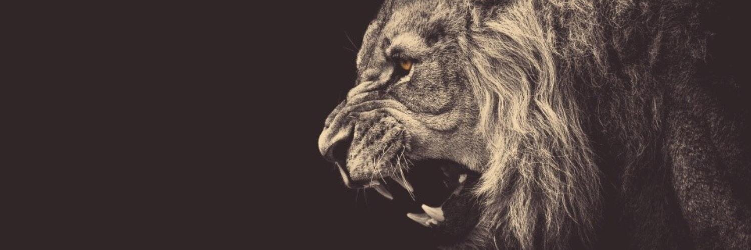 Nild0n1's profile banner image