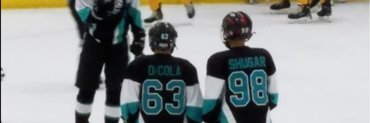 DicolaMax's profile banner image