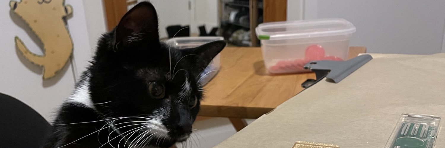 dudehereally's profile banner image