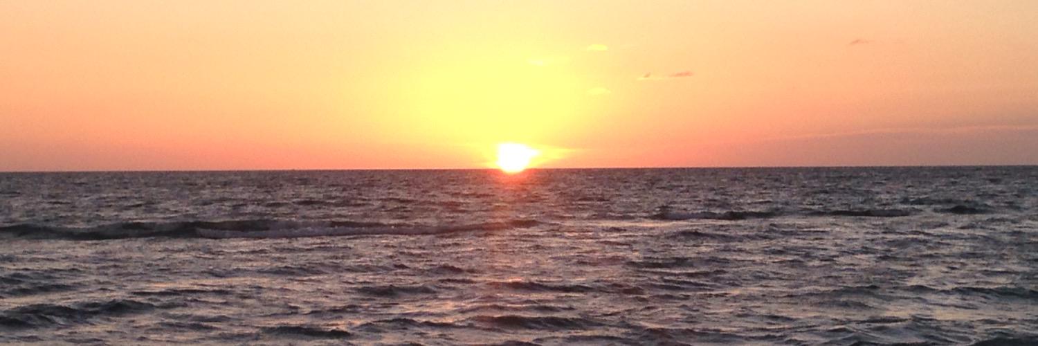 ListerSue's profile banner image