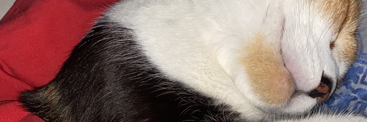 kxxrin_'s profile banner image