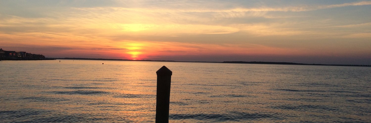 MD Environment's banner