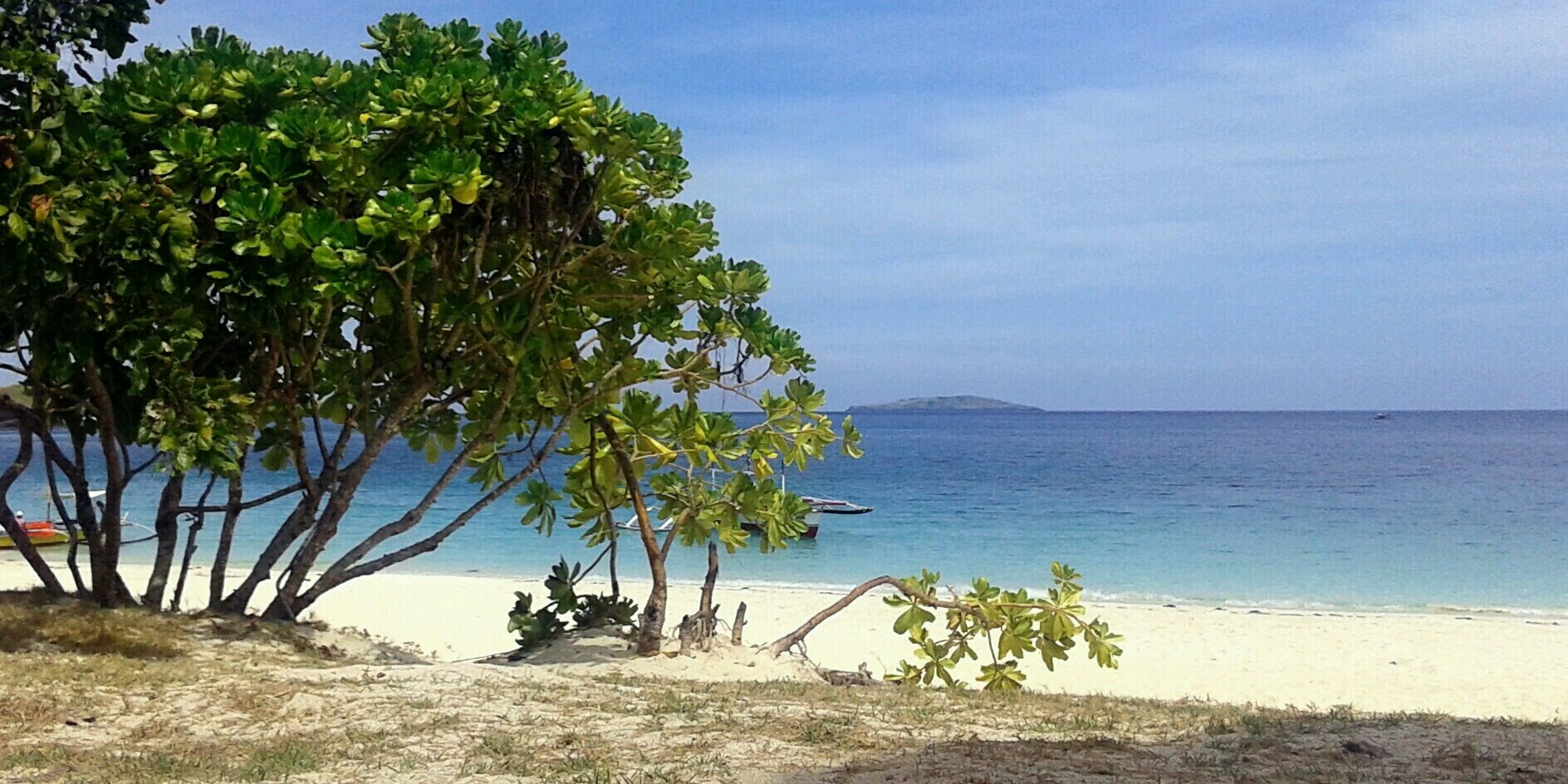 len🌛🌛🌛 banner