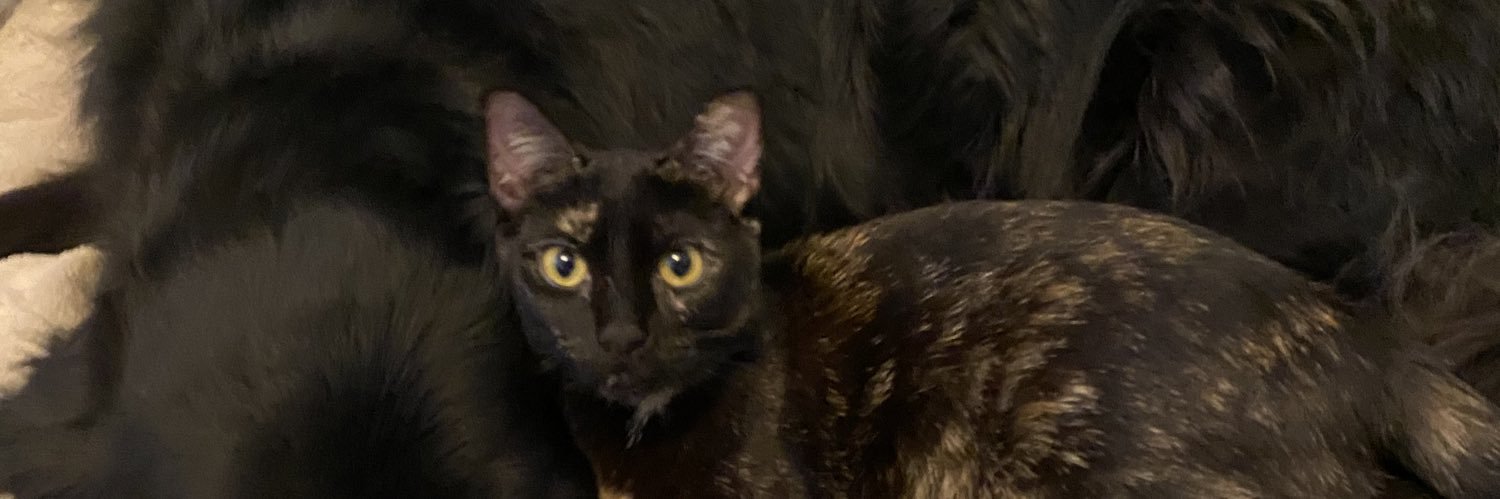 bged_'s profile banner image