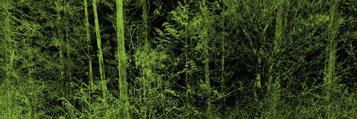 First Peoples Law banner