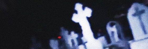 casharny's profile banner image