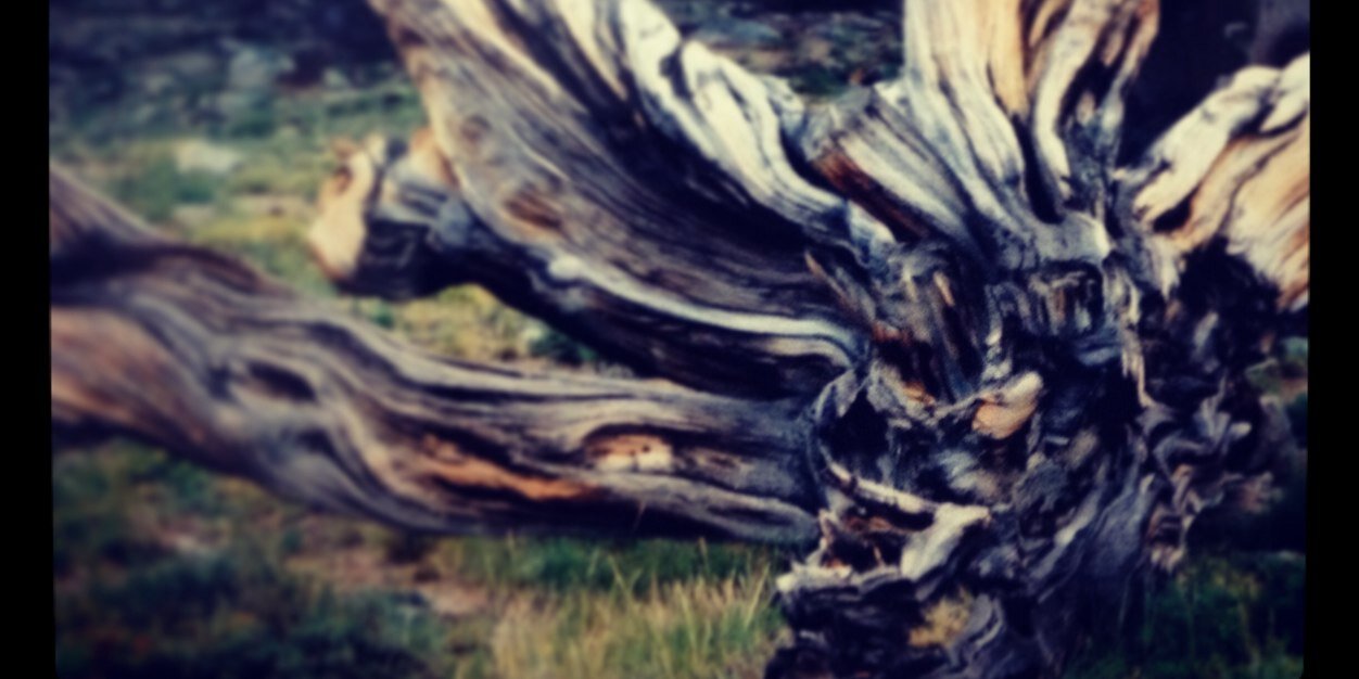 kevinstarner's profile banner image