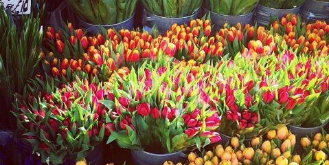 Marta Valdivia banner