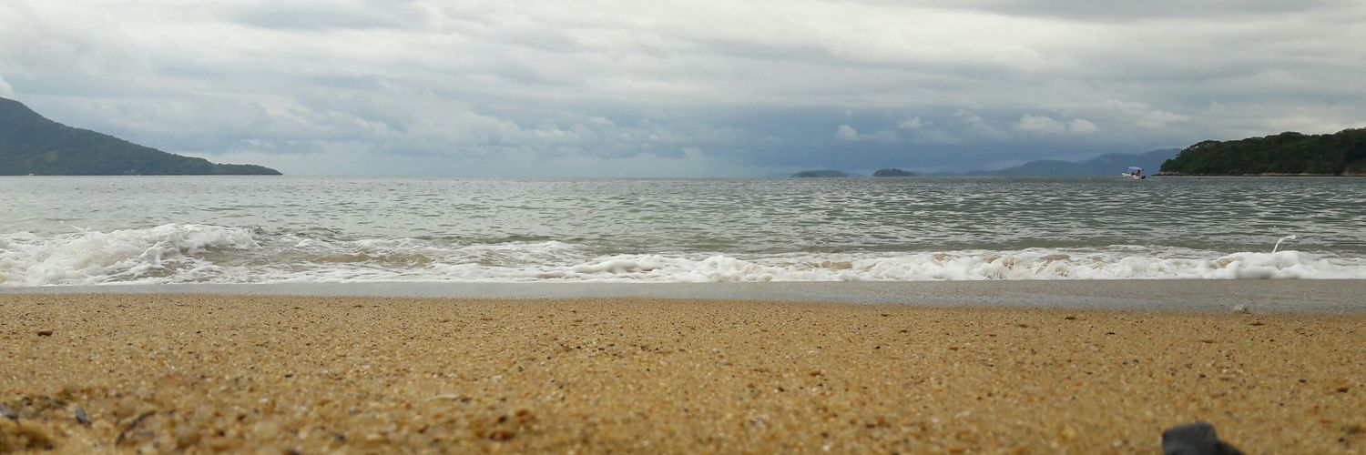 lepapaseit's profile banner image