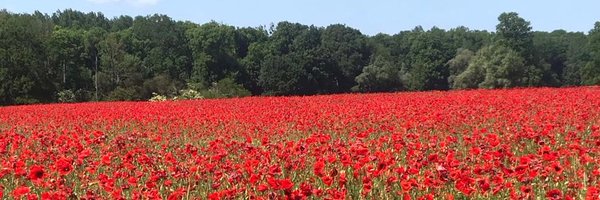 Annekjen Profile Banner
