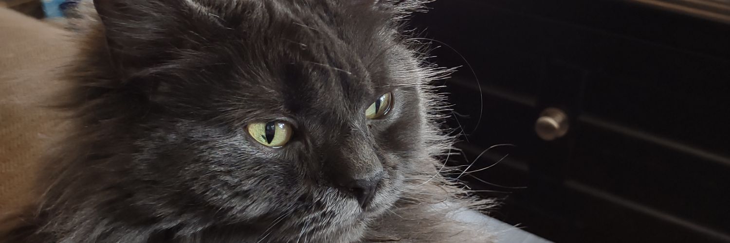 HeyNoww1999's profile banner image