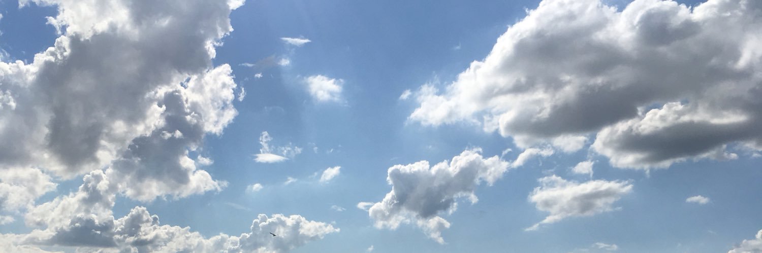 emmadrain's profile banner image